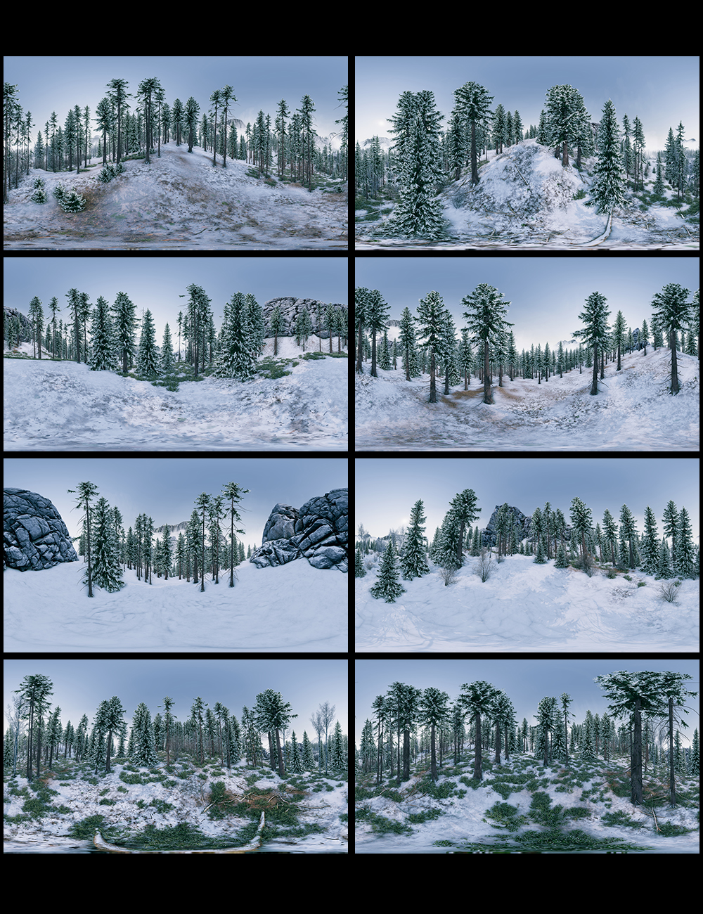 Winter Forest HDRI by: JDA HDRI, 3D Models by Daz 3D