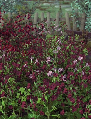 Garden Flowers - Low Res Nicotiana Plants by: MartinJFrost, 3D Models by Daz 3D