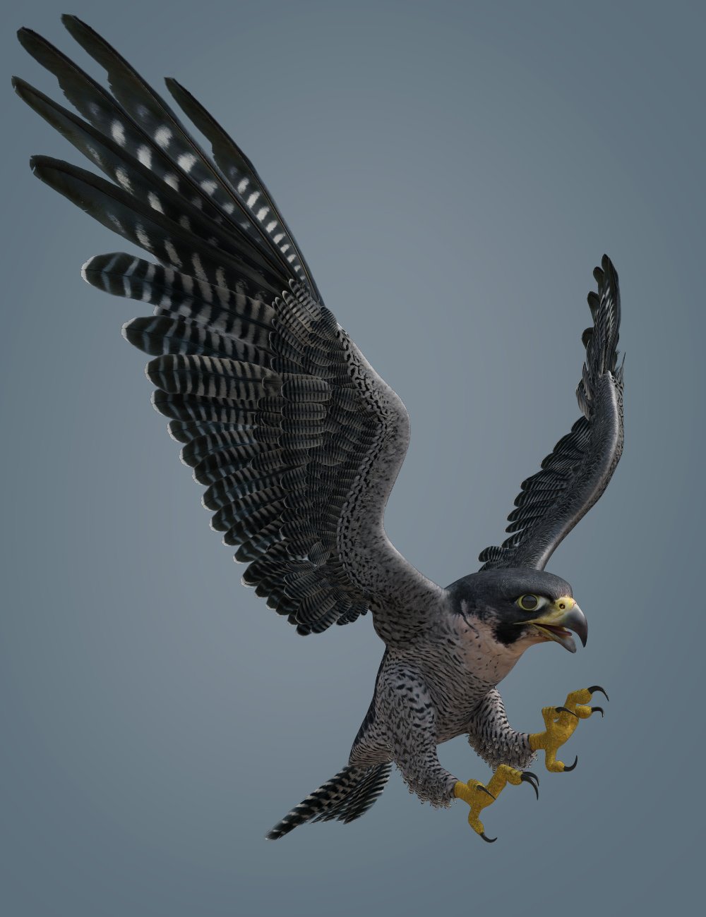 Peregrine Falcon for Deepsea's Eagle by: Deepsea, 3D Models by Daz 3D