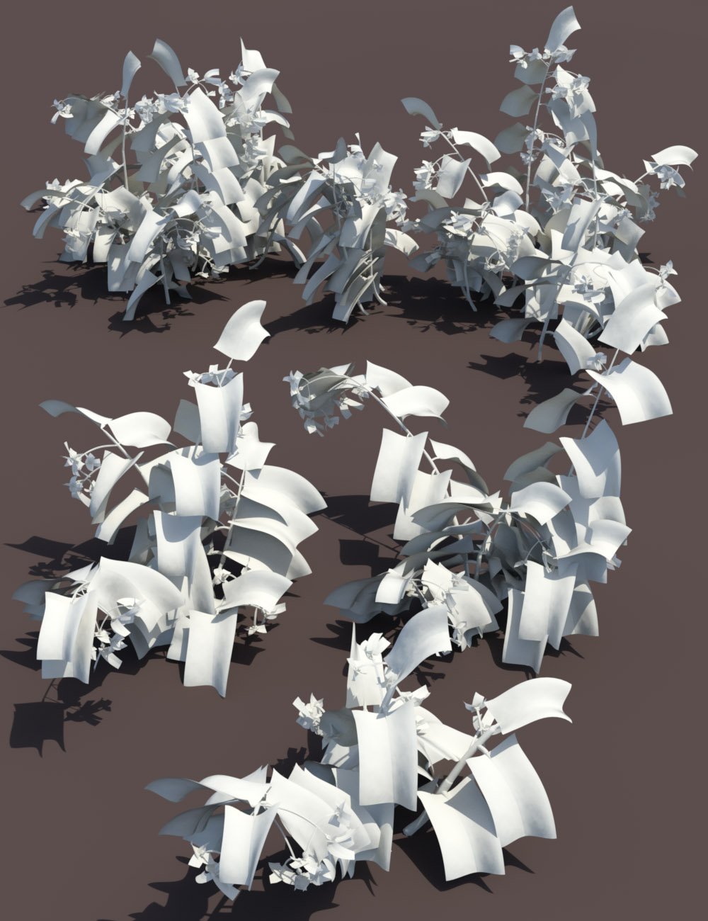 Tropical Flowers - Dragon Wing Begonia Plants by: MartinJFrost, 3D Models by Daz 3D