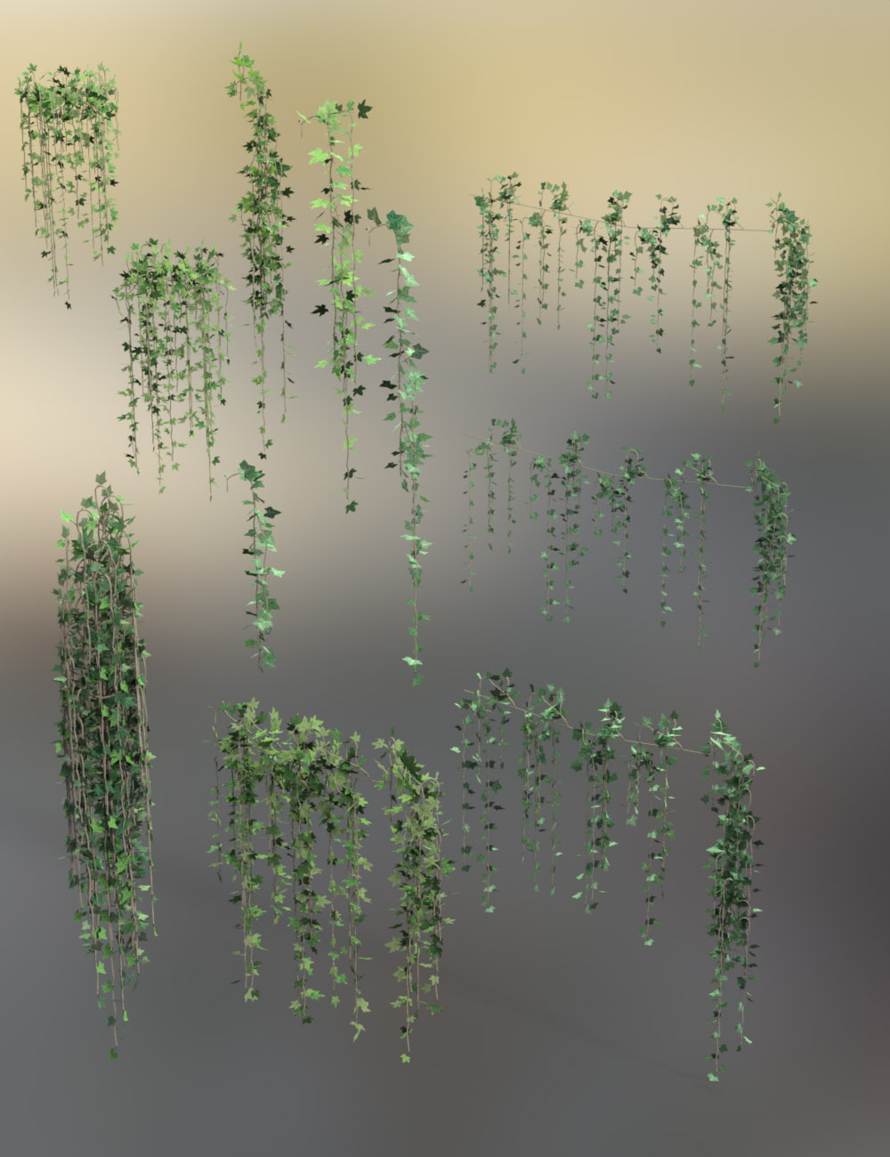 Hanging Vines - Ivy Plants Hanging Vines - Ivy Plants by: MartinJFrost, 3D Models by Daz 3D