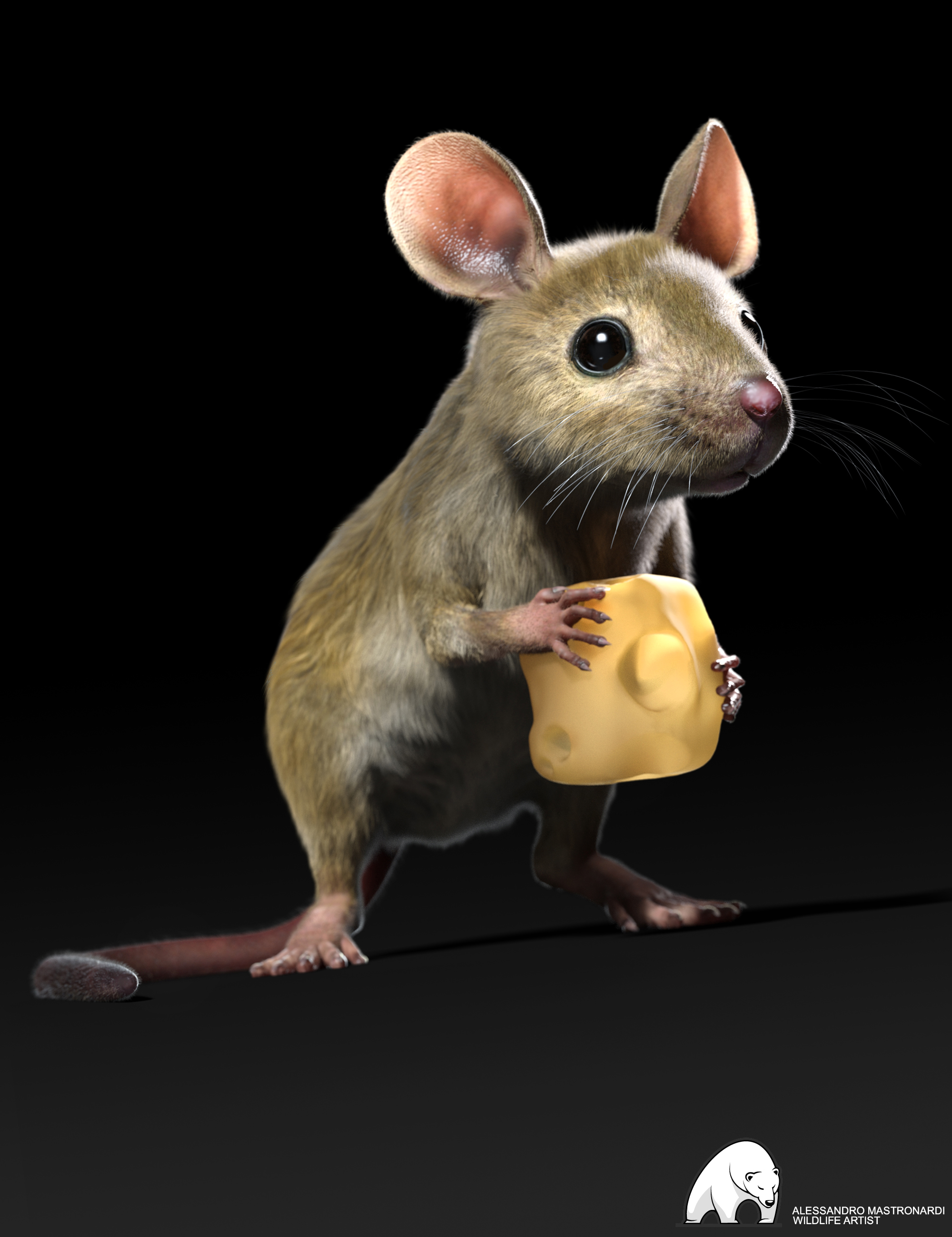 Mouse by AM by: Alessandro_AM, 3D Models by Daz 3D