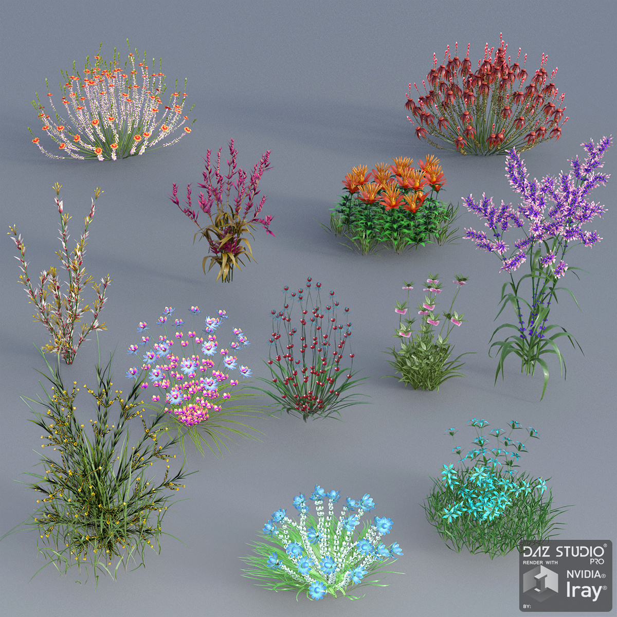 My Nature Collection 2 by: JeffersonAFGendragon3D, 3D Models by Daz 3D
