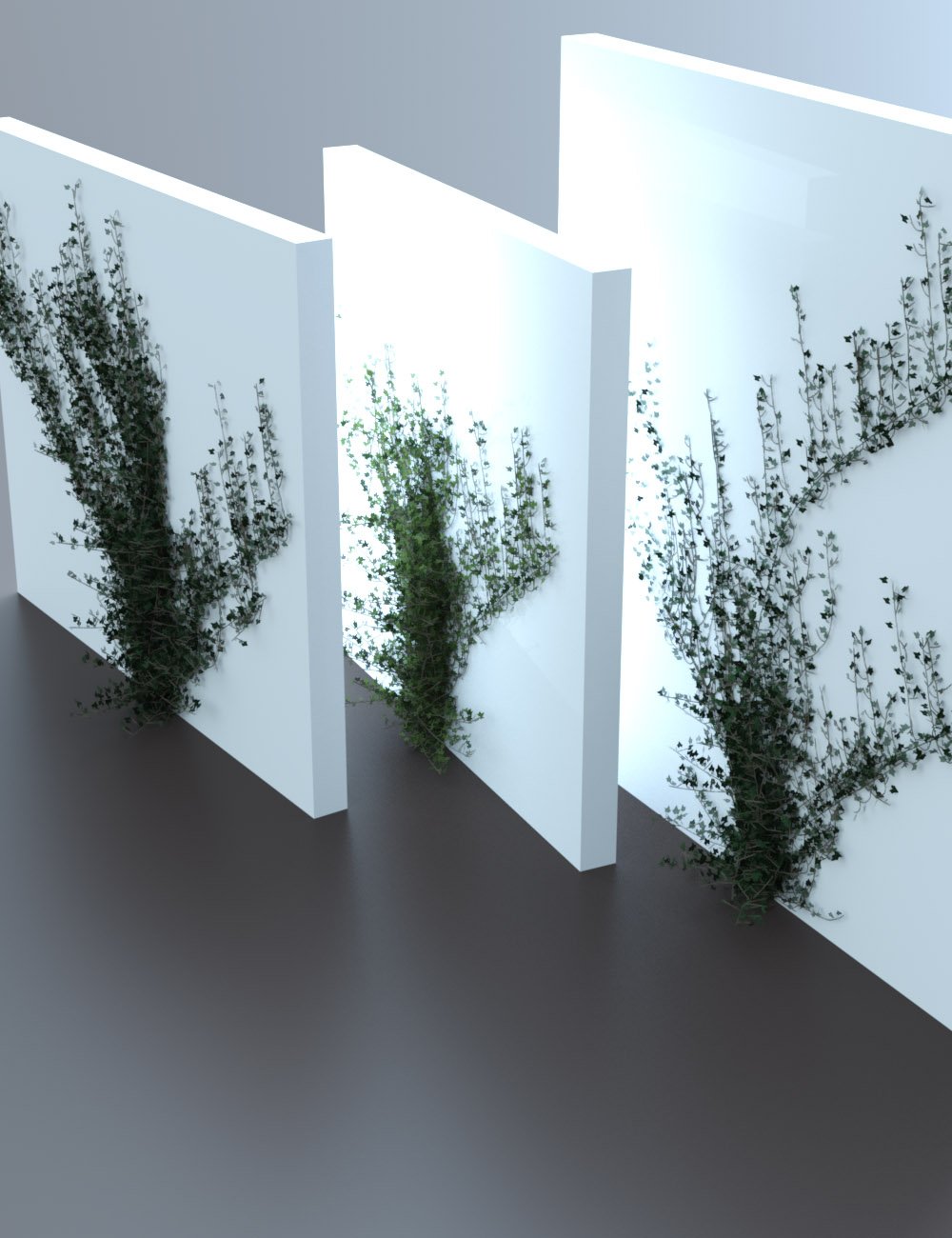 Climbing Vines - Ivy Plants by: MartinJFrost, 3D Models by Daz 3D