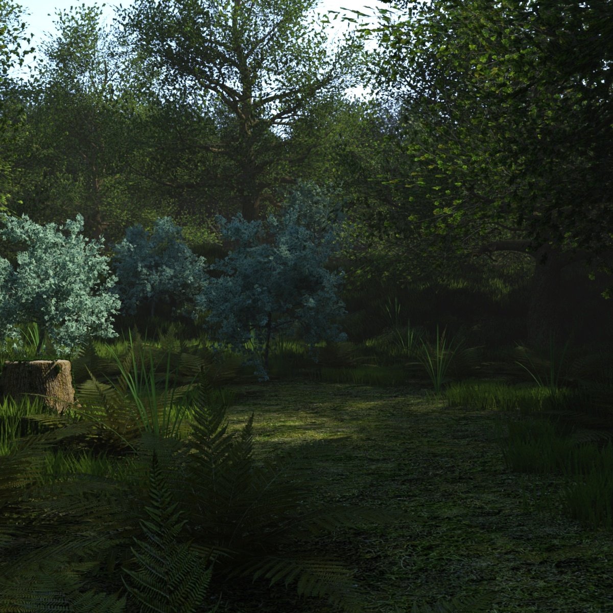 My Secret Grove My Secret Grove by: JeffersonAF, 3D Models by Daz 3D