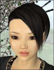 Mei Yin for V4 by: ThorneHandspan Studios, 3D Models by Daz 3D