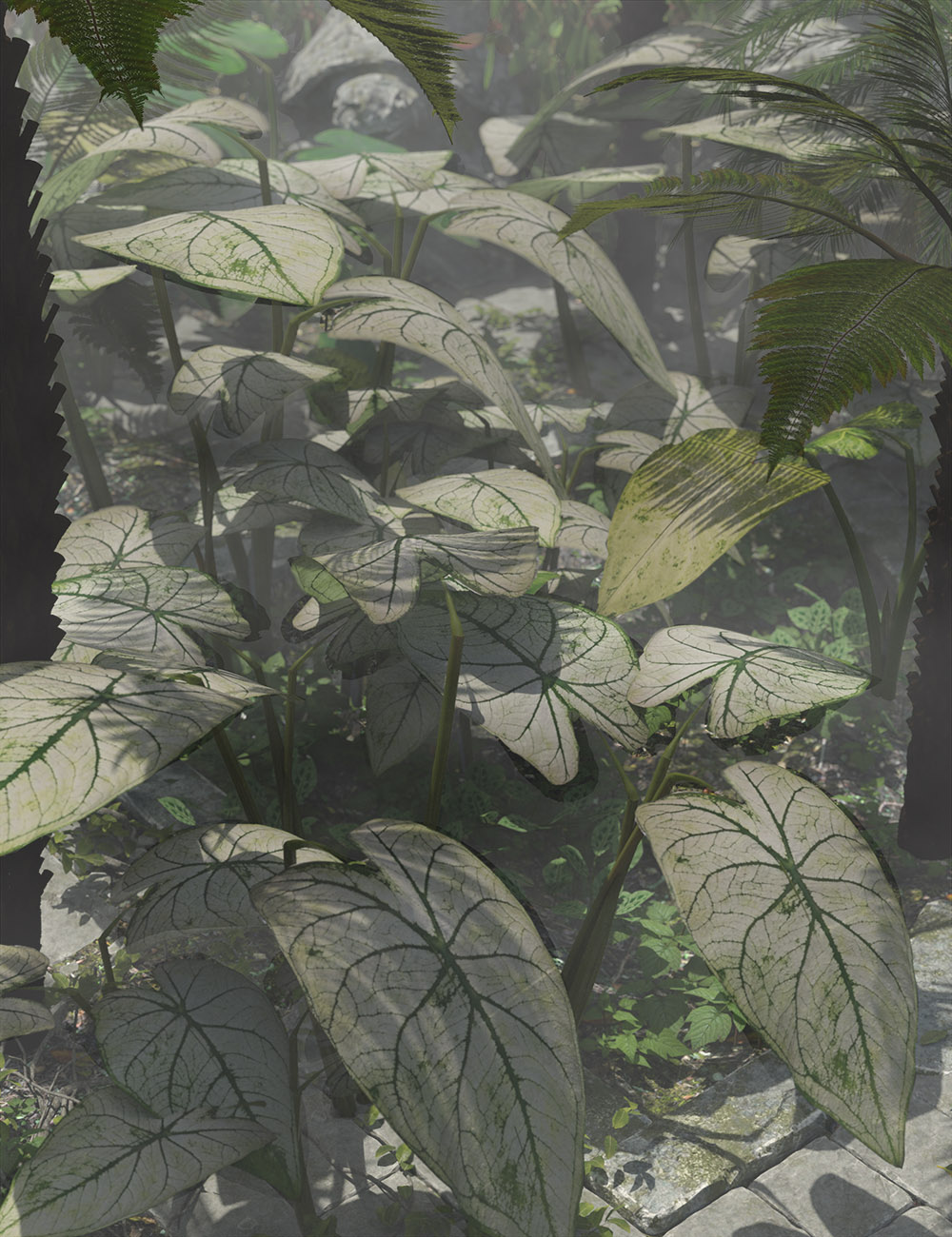 Tropical  Foliage Plants- Colcassia by: MartinJFrost, 3D Models by Daz 3D