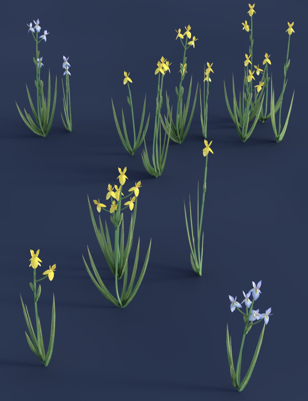 Wetlands Low Res Plants for Vol 2 - Flowering Plants by: MartinJFrost, 3D Models by Daz 3D