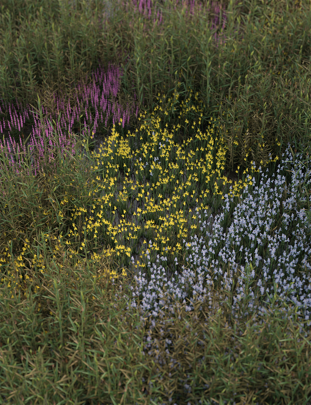 Wetlands Low Res Plants for Vol 2 - Flowering Plants by: MartinJFrost, 3D Models by Daz 3D
