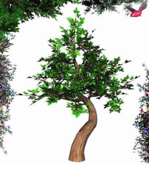 Poseable Bonsai Tree by: , 3D Models by Daz 3D