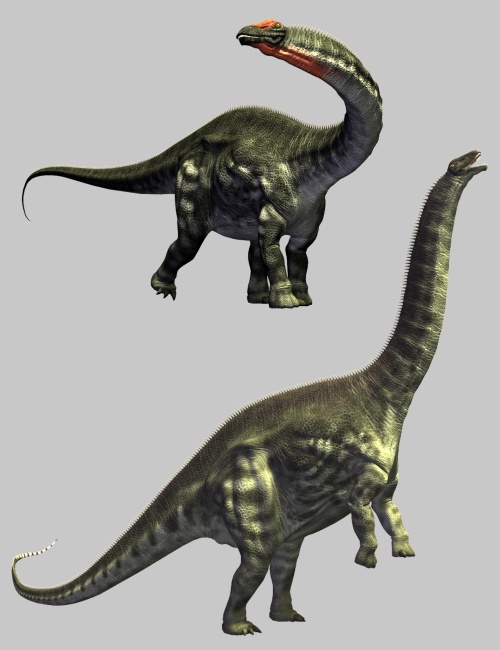 ApatosaurusDR ApatosaurusDR by: , 3D Models by Daz 3D
