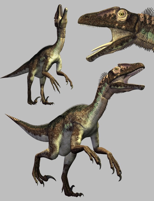 UtahraptorDR UtahraptorDR by: , 3D Models by Daz 3D