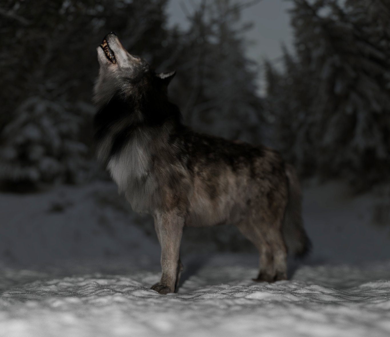 Dire Wolf for Daz Dog 8 by: Alessandro_AM, 3D Models by Daz 3D