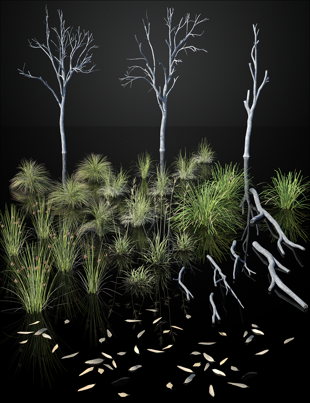 Australia Botanica - Understorey by: HowieFarkes, 3D Models by Daz 3D