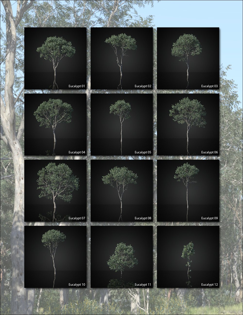 Australia Botanica - Trees and Shrubs by: HowieFarkes, 3D Models by Daz 3D