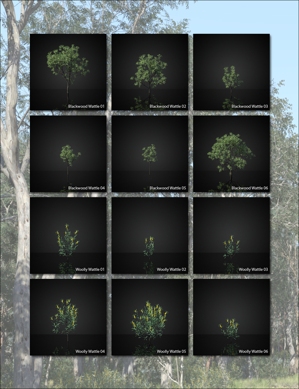 Australia Botanica - Trees and Shrubs by: HowieFarkes, 3D Models by Daz 3D