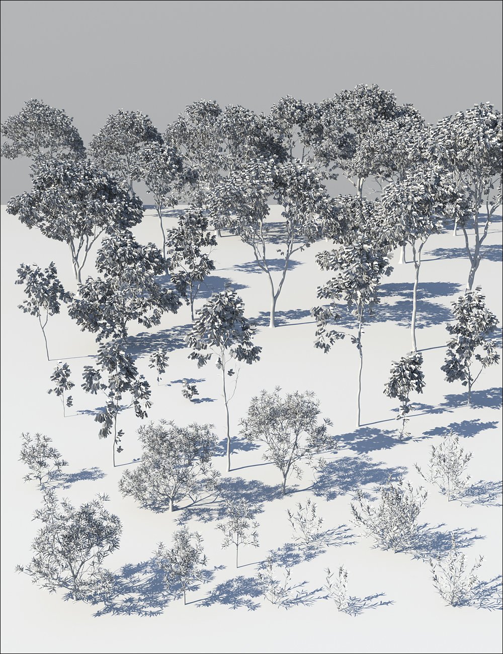 Australia Botanica - Trees and Shrubs Australia Botanica - Trees and Shrubs by: HowieFarkes, 3D Models by Daz 3D