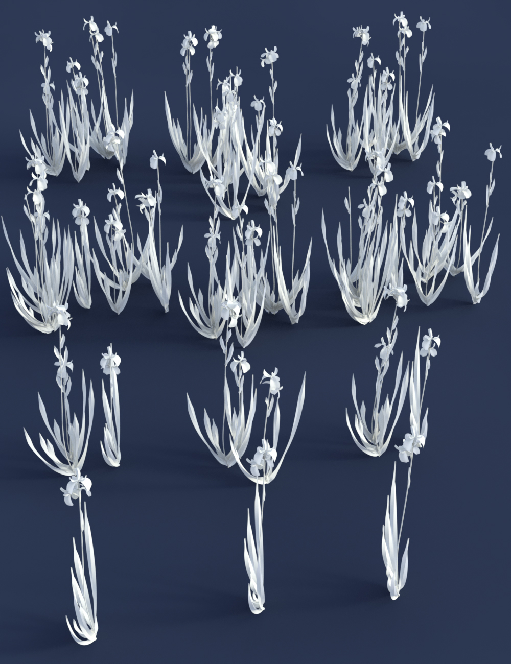 Water Iris - High Res Flowering Plants by: MartinJFrost, 3D Models by Daz 3D