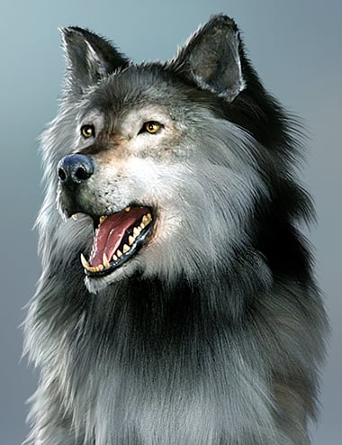Dire Wolf Animations for Daz Dog 8 and Genesis 8 Dire Wolf Animations for Daz Dog 8 and Genesis 8 by: ThreeDigital, 3D Models by Daz 3D