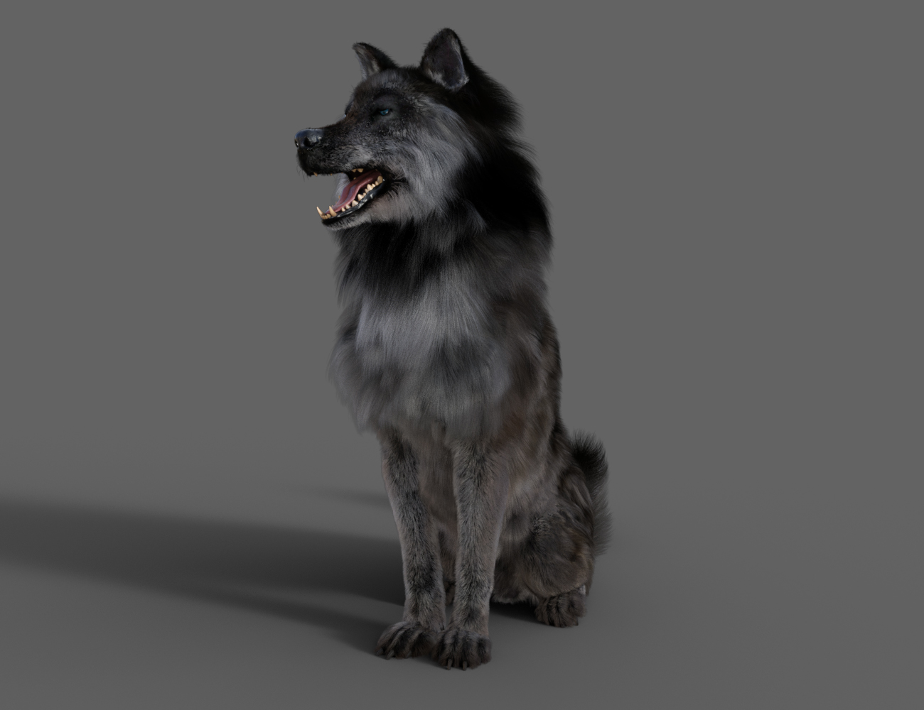 Dire Wolf Animations for Daz Dog 8 and Genesis 8 by: ThreeDigital, 3D Models by Daz 3D