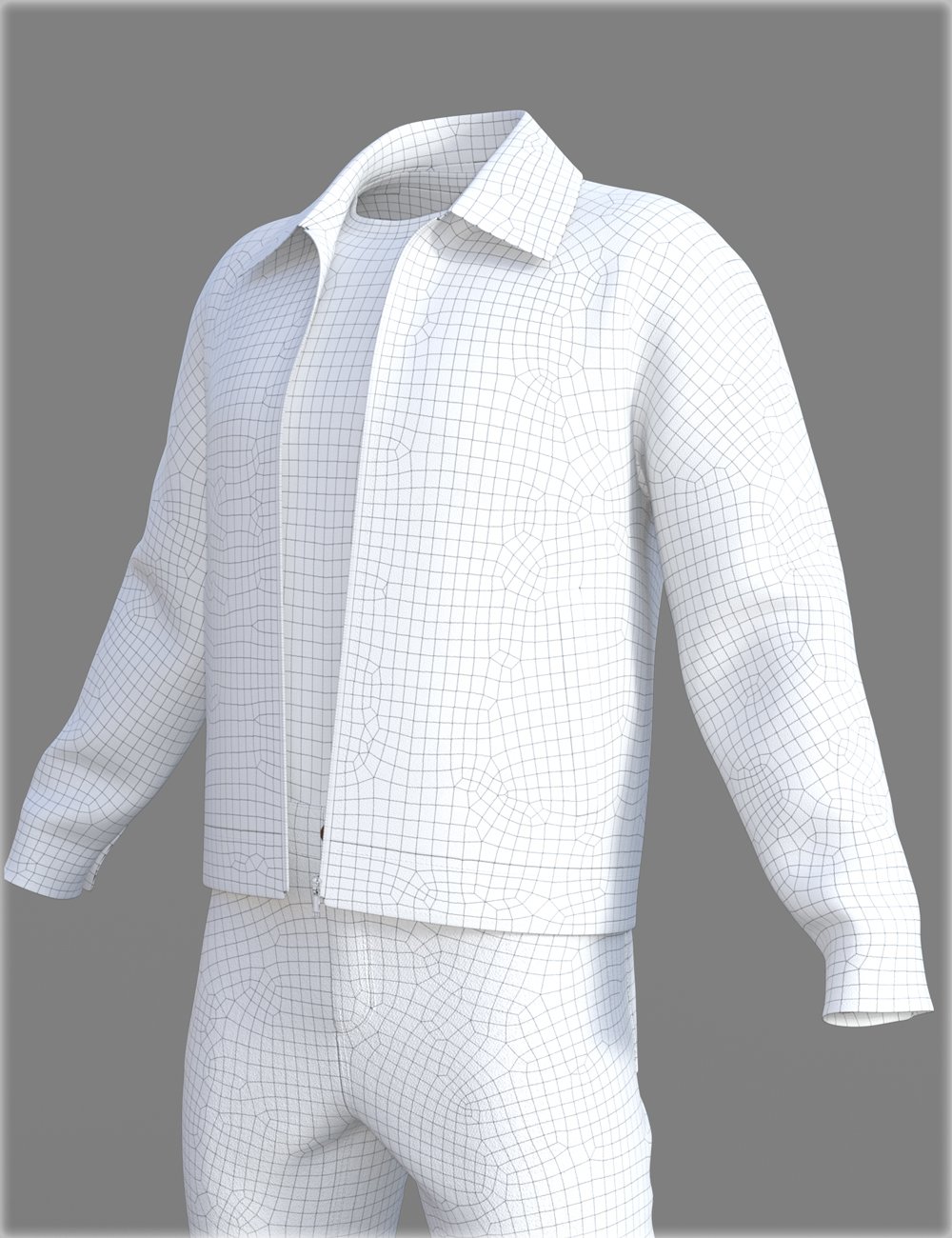 dForce HnC Leather Jacket Outfit for Genesis 8 Males dForce HnC Leather Jacket Outfit for Genesis 8 Males by: IH Kang, 3D Models by Daz 3D