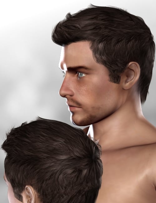 BillyHawk Hair BillyHawk Hair by: Neftis3D, 3D Models by Daz 3D
