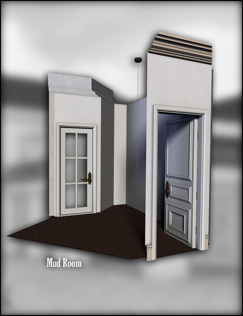 Dream Home Entrance Lanai and Mud Room by: , 3D Models by Daz 3D