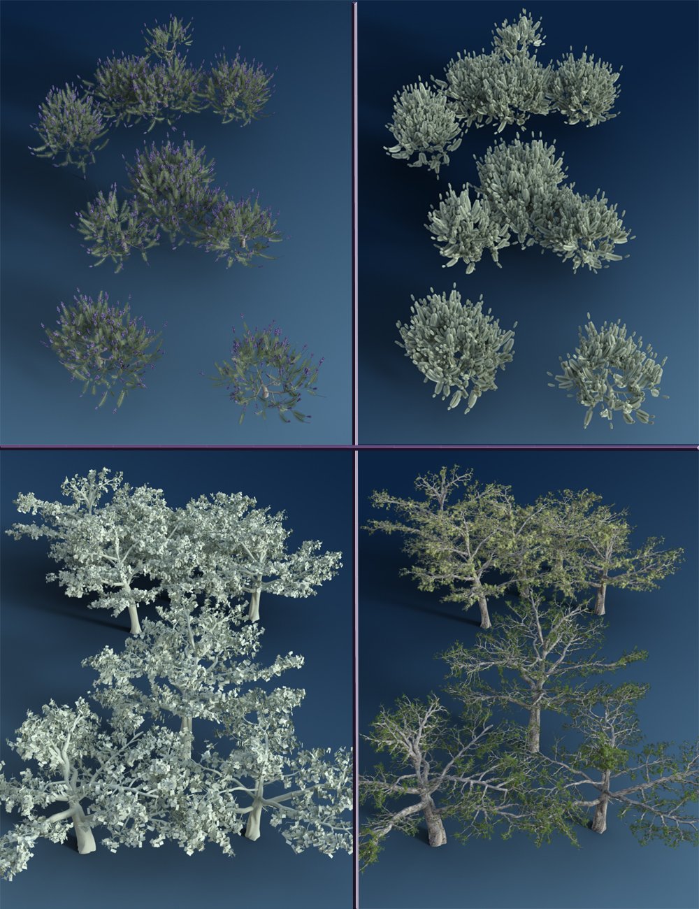 Mediterranean Trees and Shrubs - Low Res Plants by: MartinJFrost, 3D Models by Daz 3D