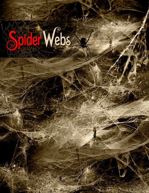 Ron's Spider Webs by: deviney, 3D Models by Daz 3D