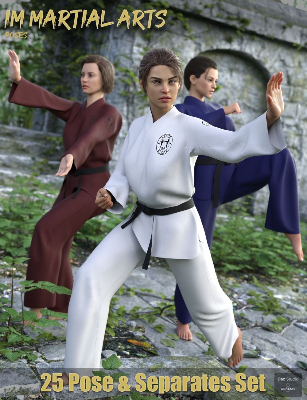 IM Martial Arts Poses for Genesis 8 Female