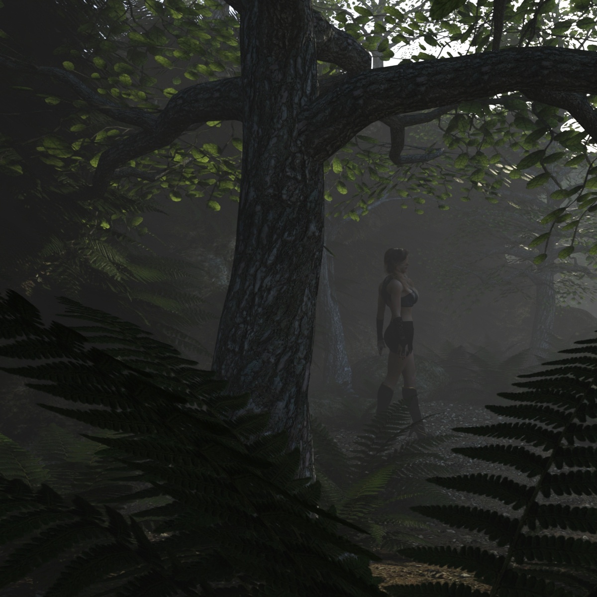 The Magical Path by: JeffersonAF, 3D Models by Daz 3D