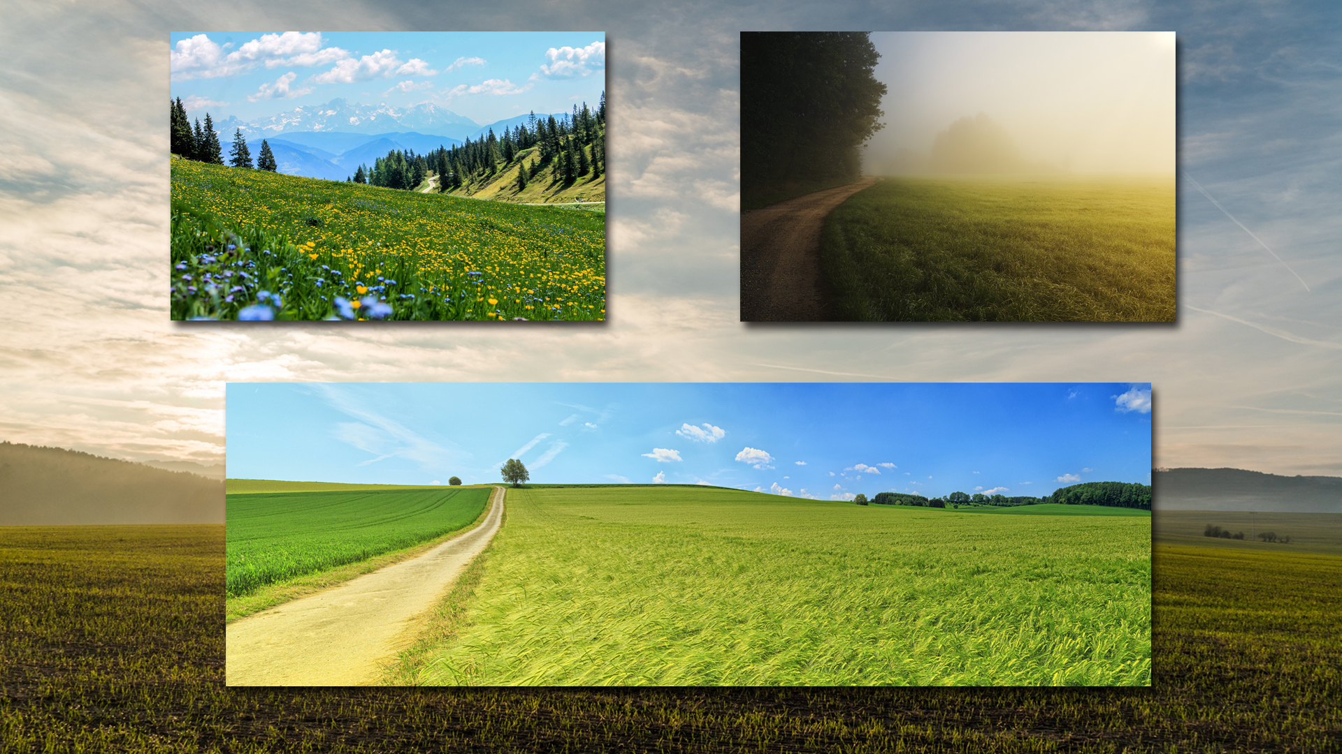 MeadowScapes Backdrops Volume 1 MeadowScapes Backdrops Volume 1 by: Illumination, 3D Models by Daz 3D