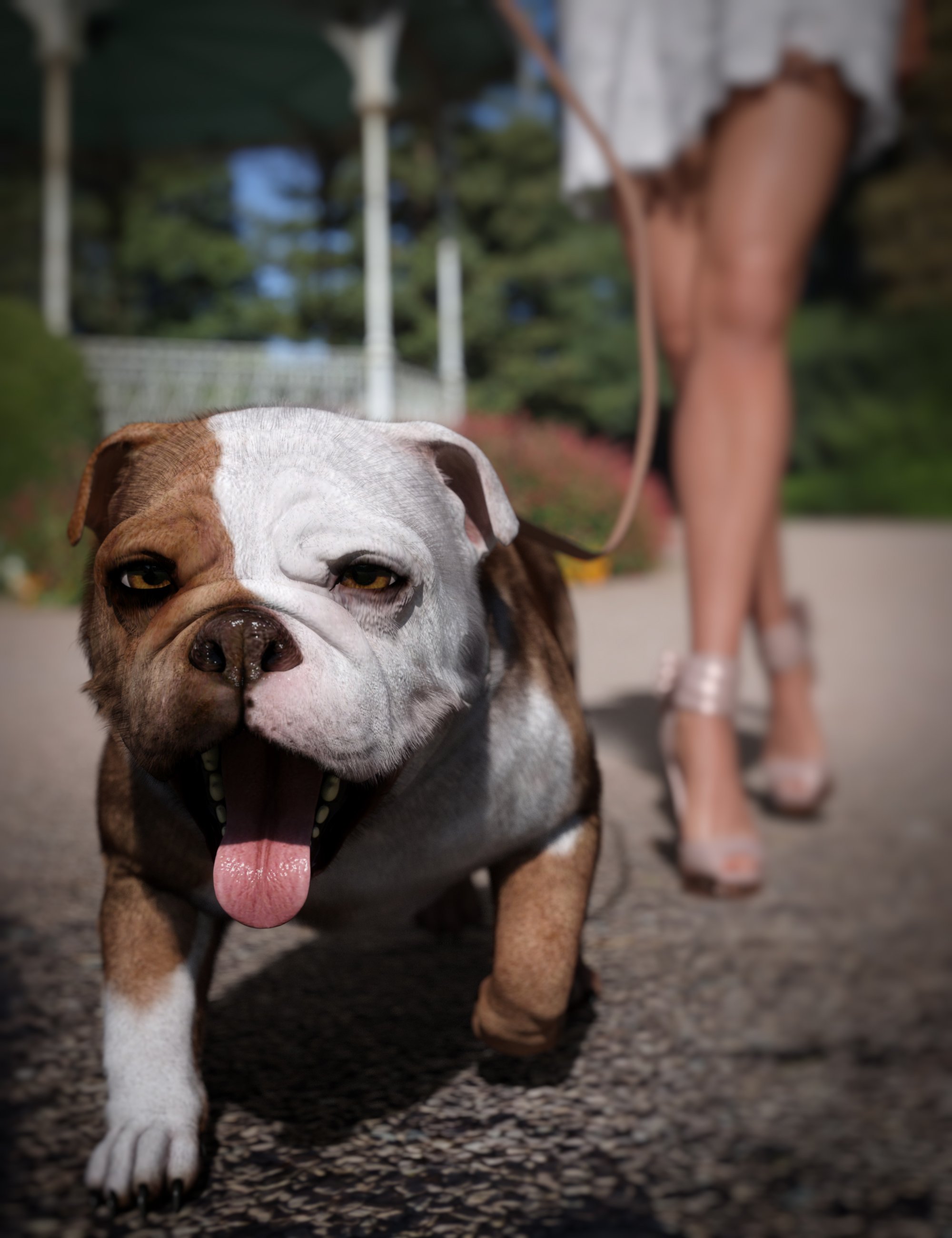 Baxter the English Bulldog for Dog 8 by: , 3D Models by Daz 3D