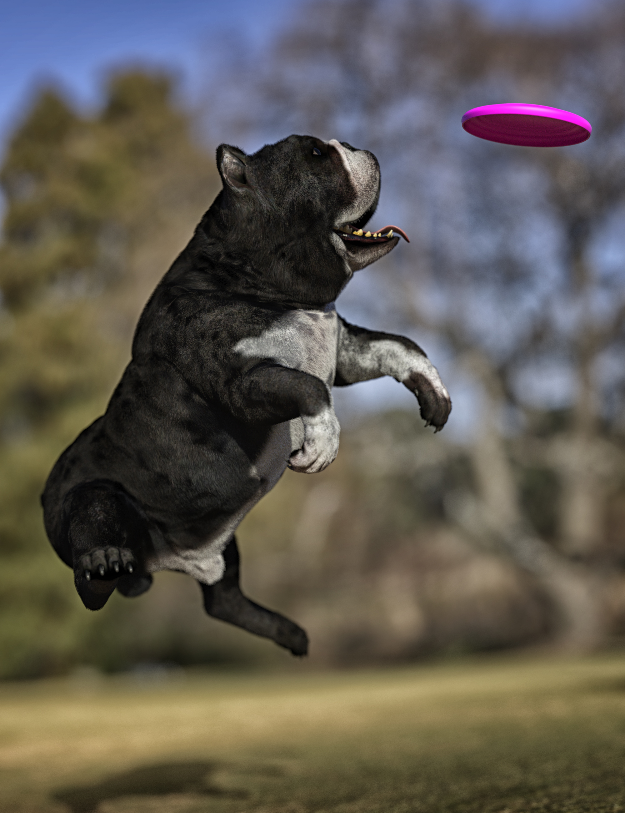Baxter the English Bulldog for Dog 8 Baxter the English Bulldog for Dog 8 by: , 3D Models by Daz 3D