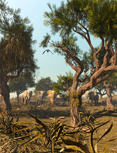 African Acacia Tree by: Gendragon3DJeffersonAF, 3D Models by Daz 3D