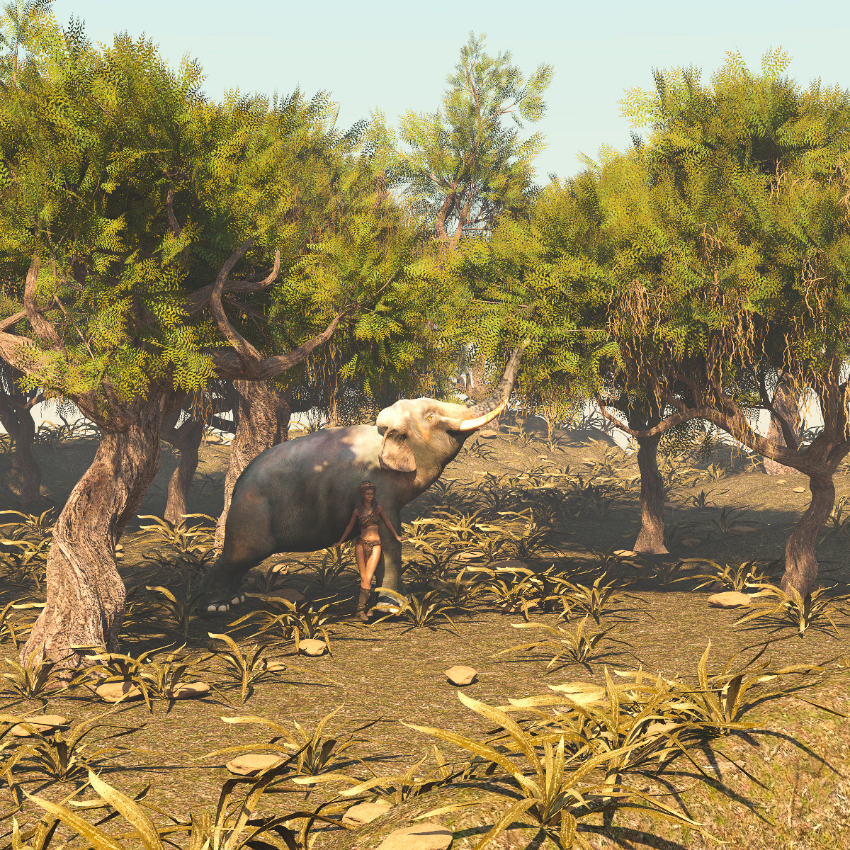 African Acacia Tree African Acacia Tree by: Gendragon3DJeffersonAF, 3D Models by Daz 3D