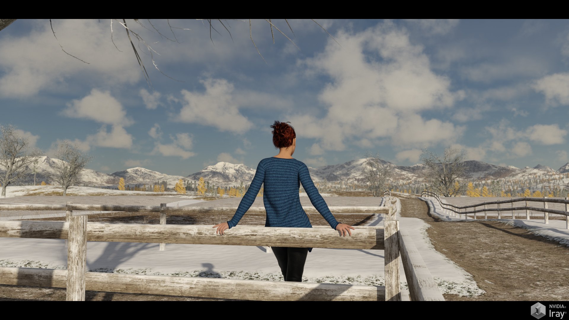 Easy Environments: Winter Fields Easy Environments: Winter Fields by: Flipmode, 3D Models by Daz 3D