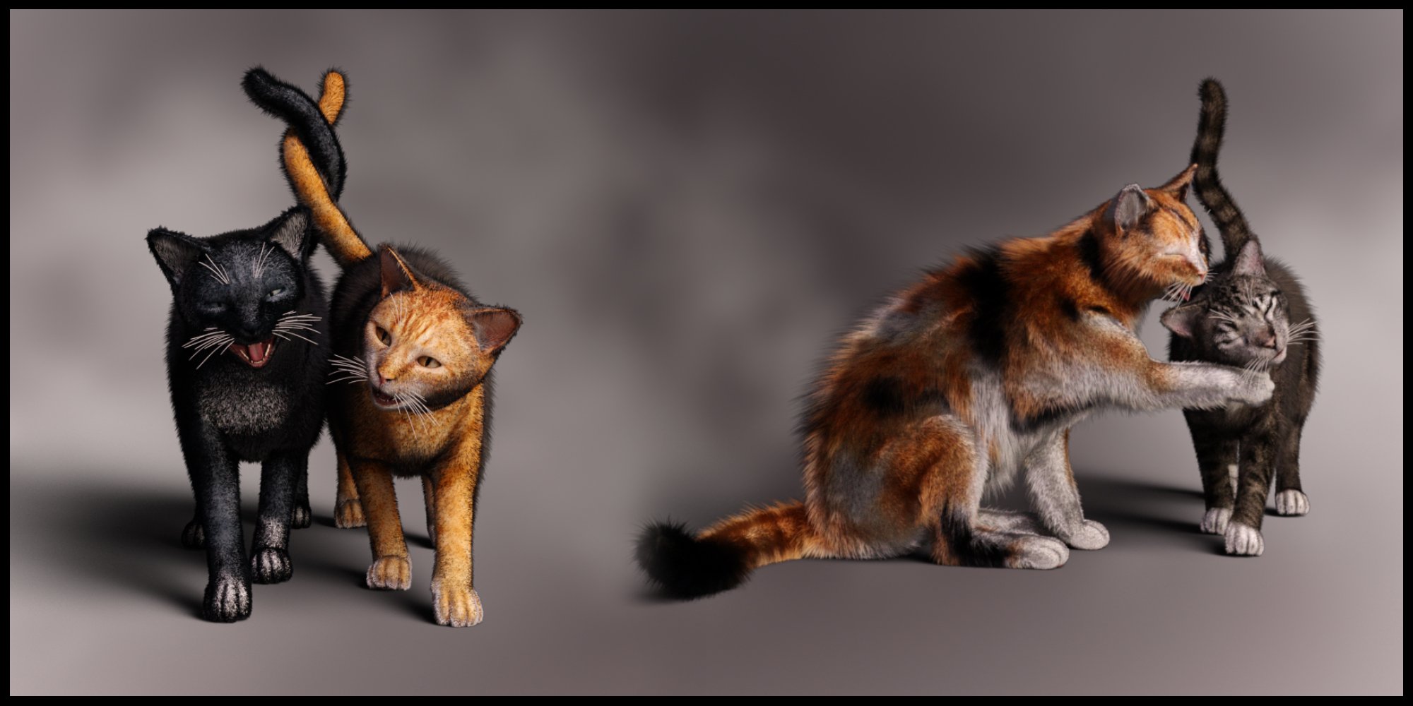 Casual Cat for Daz House Cat by: lunchlady, 3D Models by Daz 3D