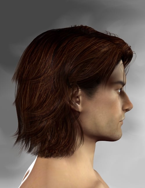 Mon Chevalier Hair Mon Chevalier Hair by: Neftis3D, 3D Models by Daz 3D