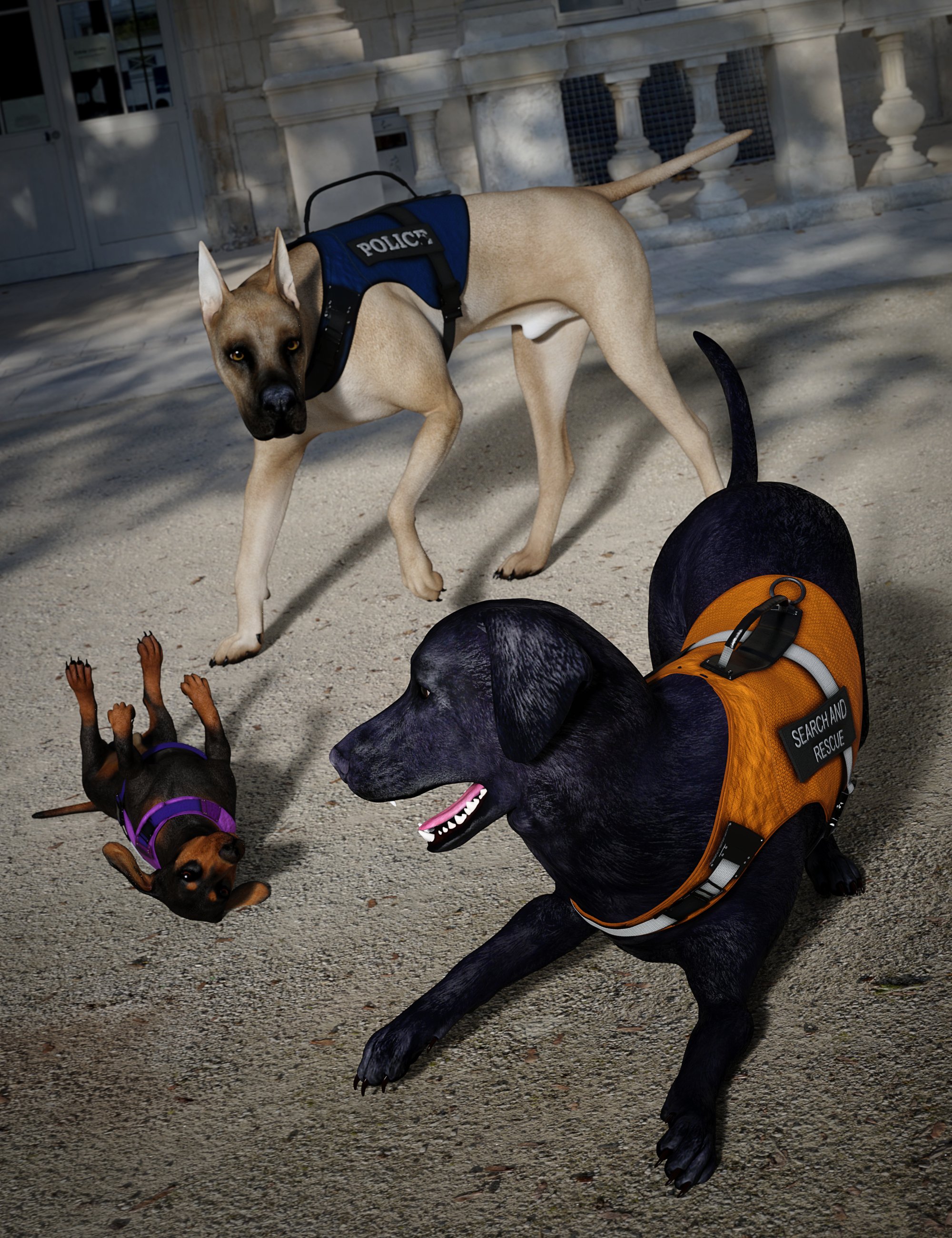 Support Vest for Daz Dog 8 Support Vest for Daz Dog 8 by: Barbara BrundonMoonscape GraphicsSade, 3D Models by Daz 3D
