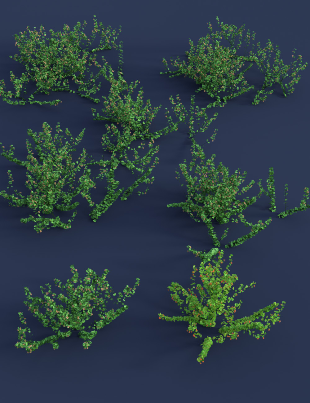 Tiny Plants III - Tiny Flowers by: MartinJFrost, 3D Models by Daz 3D