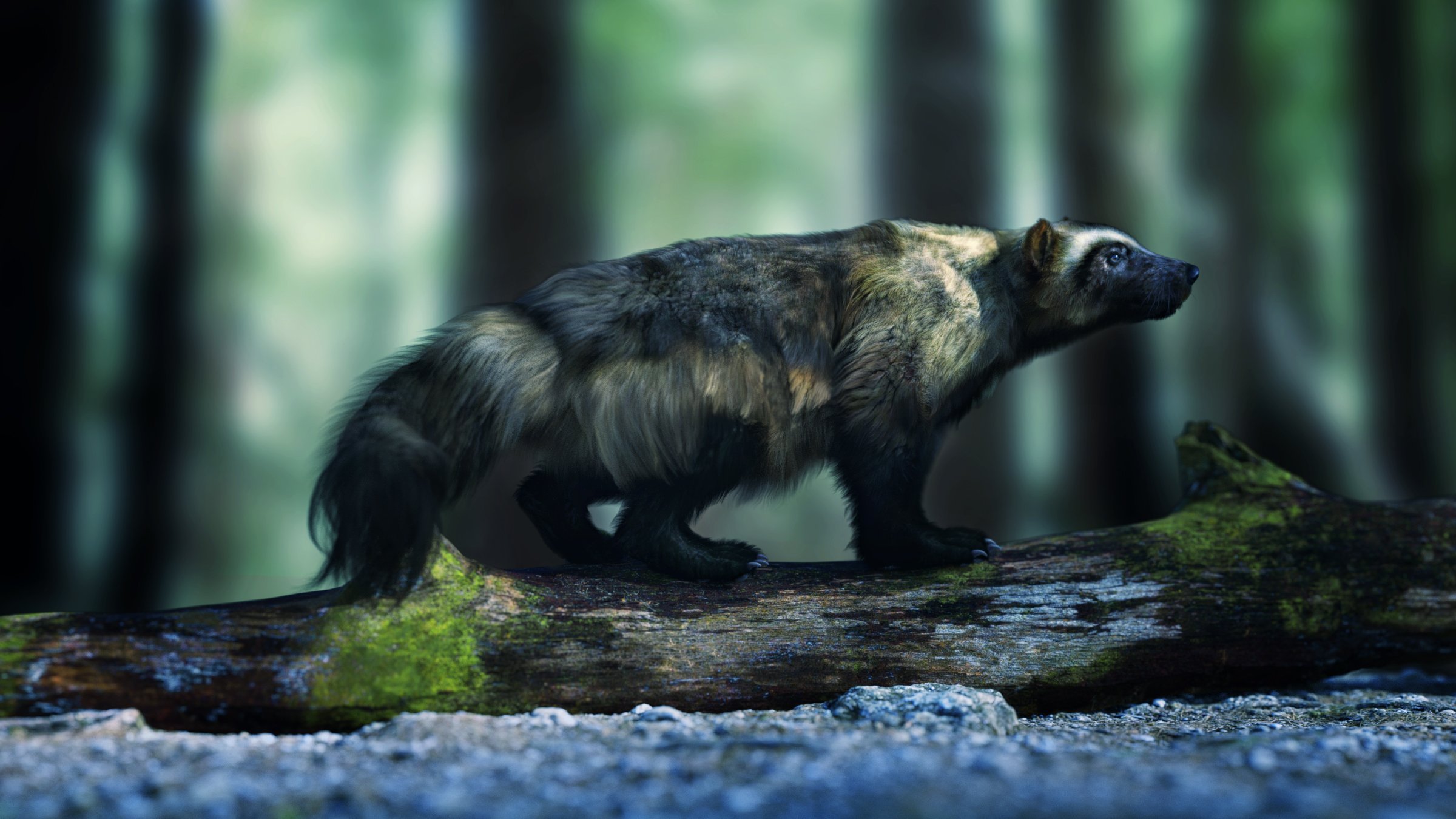 Wolverine by AM Wolverine by AM by: Alessandro_AM, 3D Models by Daz 3D
