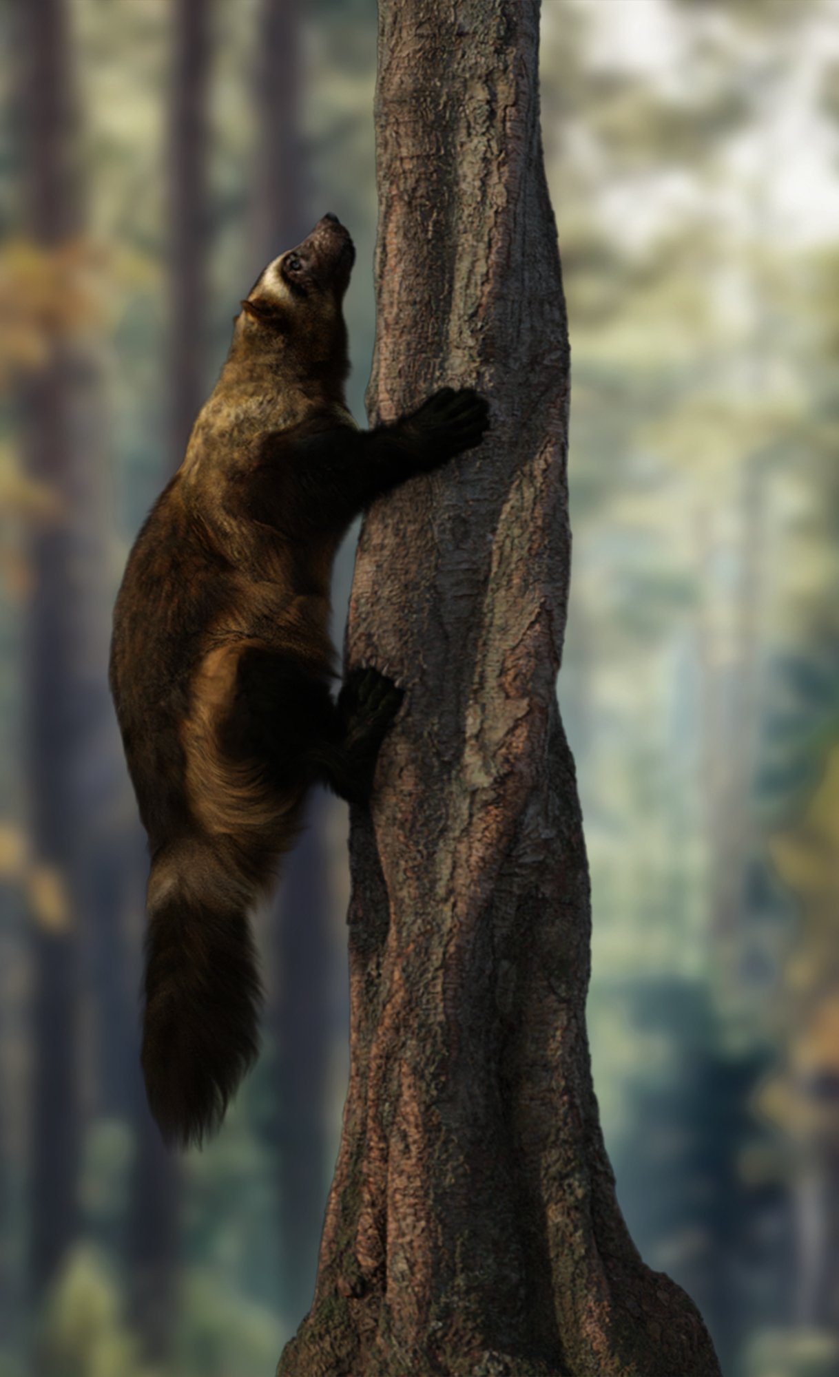 Wolverine by AM by: Alessandro_AM, 3D Models by Daz 3D