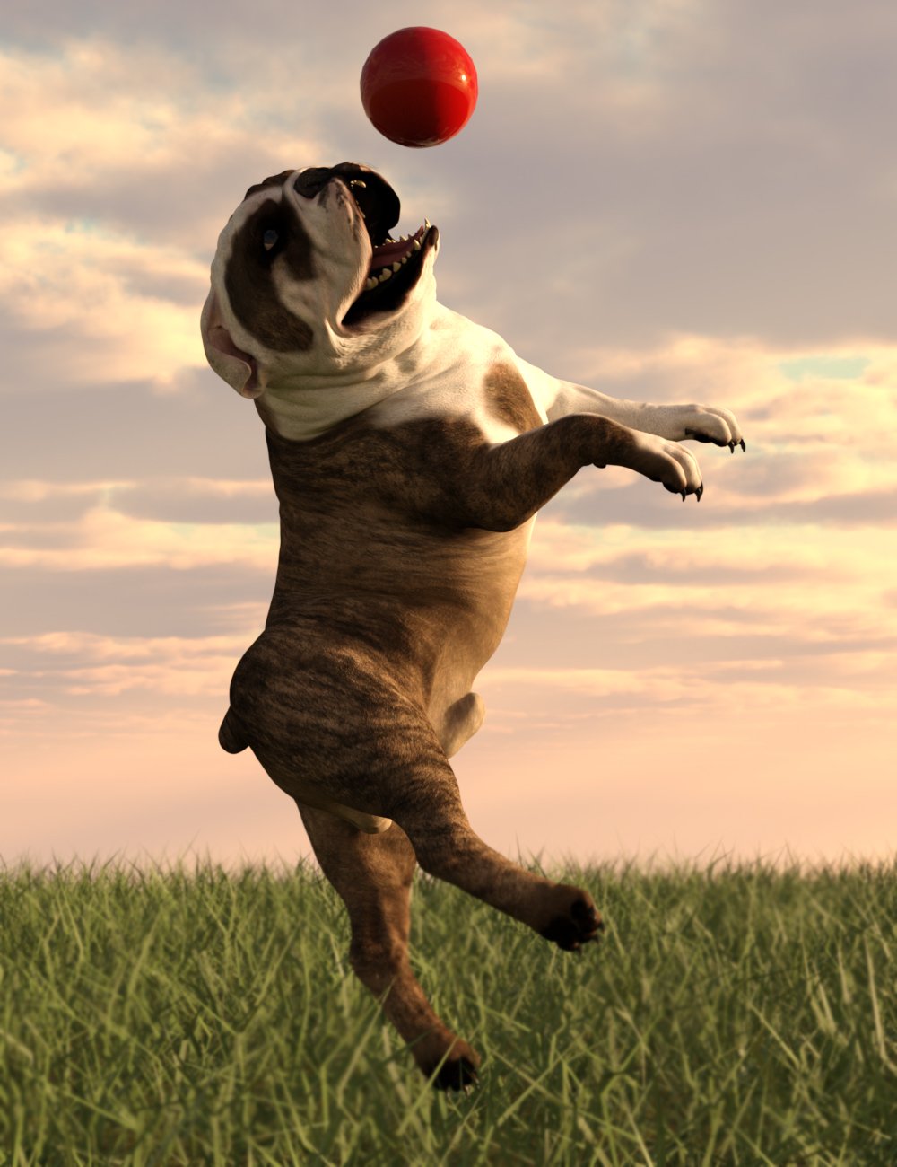 Bulldog Poses For English Bulldog by: Ensary, 3D Models by Daz 3D