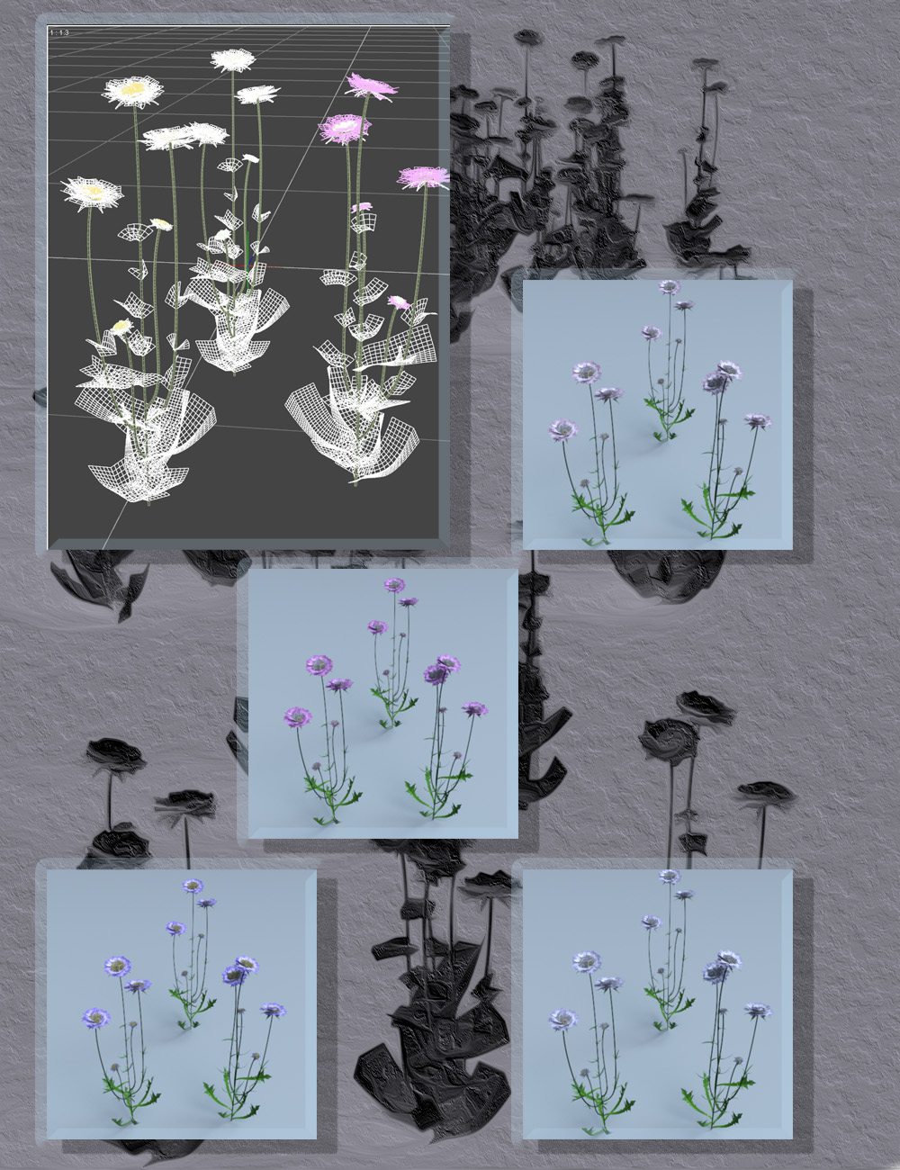 Meadow Flowers - Field Scabious by: MartinJFrost, 3D Models by Daz 3D
