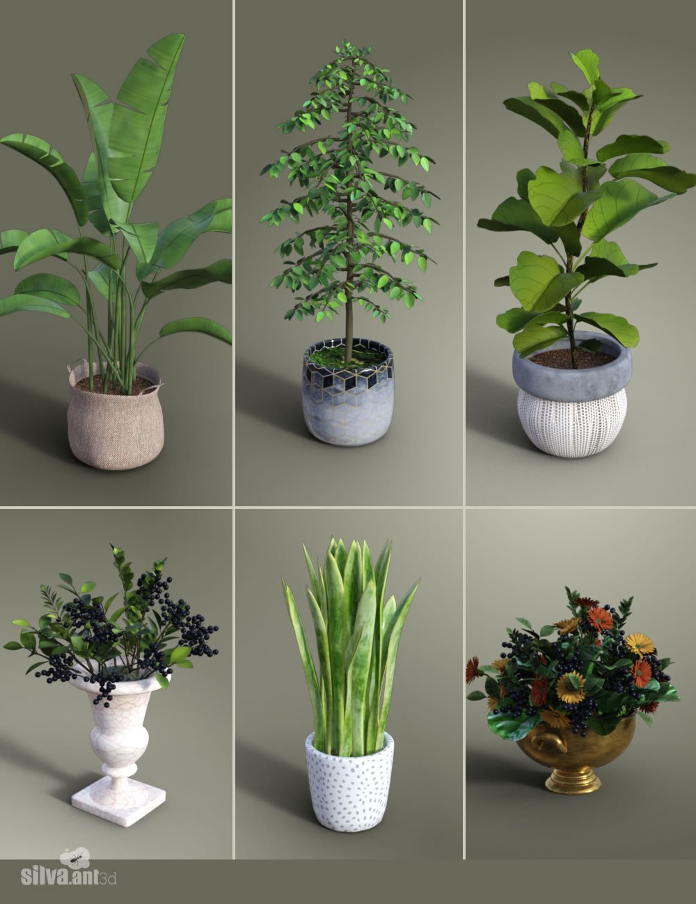 Collection of Pot Plants Collection of Pot Plants by: SilvaAnt3d, 3D Models by Daz 3D