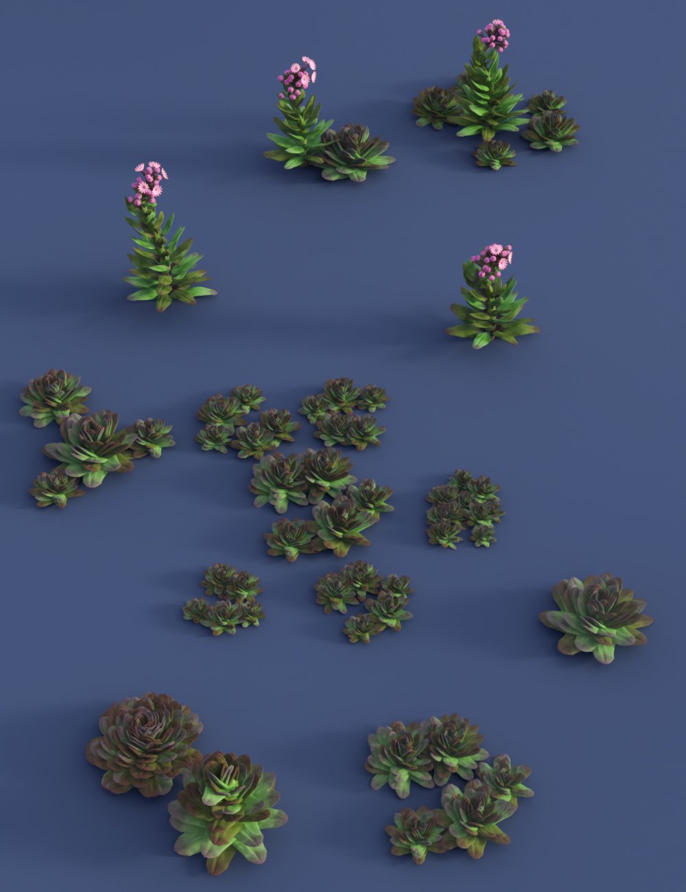Tiny Plants - House Leeks by: MartinJFrost, 3D Models by Daz 3D