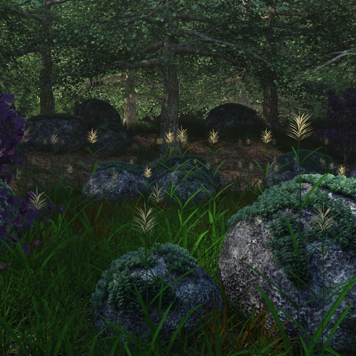 The Magical Place The Magical Place by: JeffersonAF, 3D Models by Daz 3D