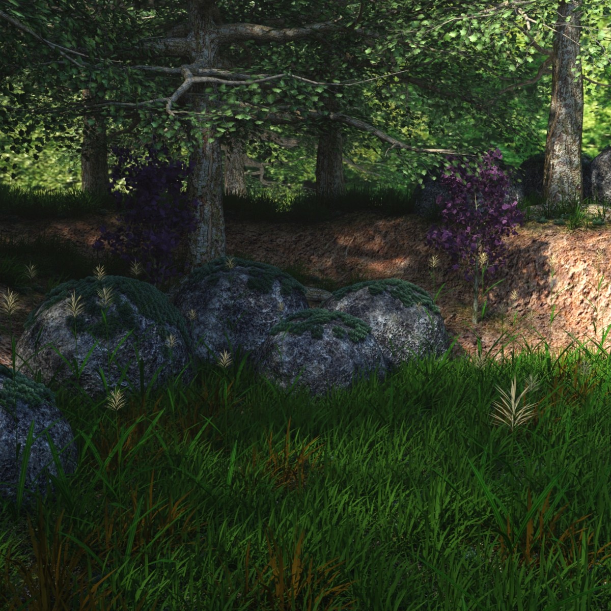 The Magical Place by: JeffersonAF, 3D Models by Daz 3D