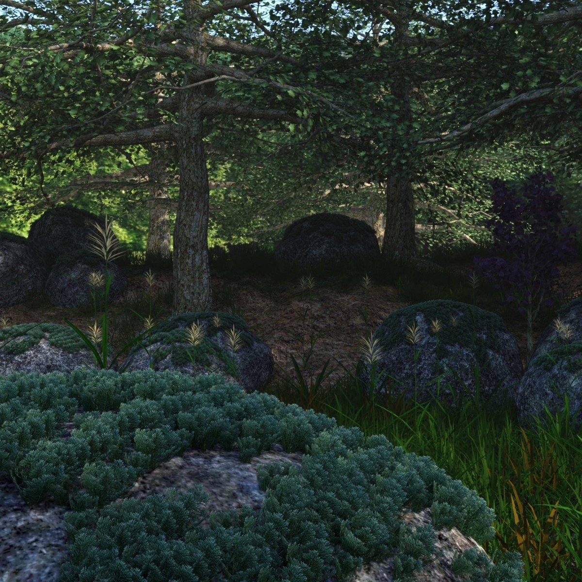 The Magical Place The Magical Place by: JeffersonAF, 3D Models by Daz 3D